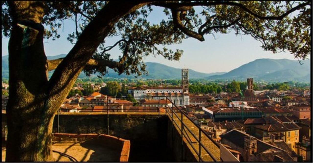 Le Melodie Di Lucca Exteriör bild